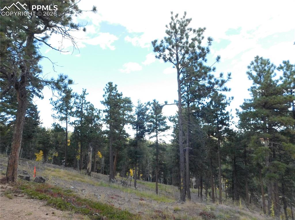 Image 33 of 45: No Description Available