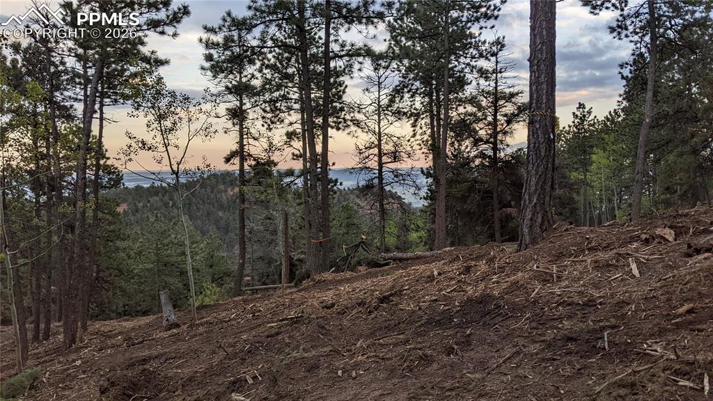 Image 38 of 45: No Description Available