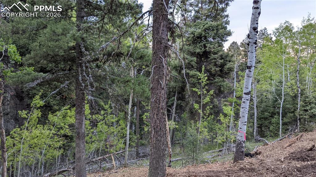 Image 39 of 45: No Description Available