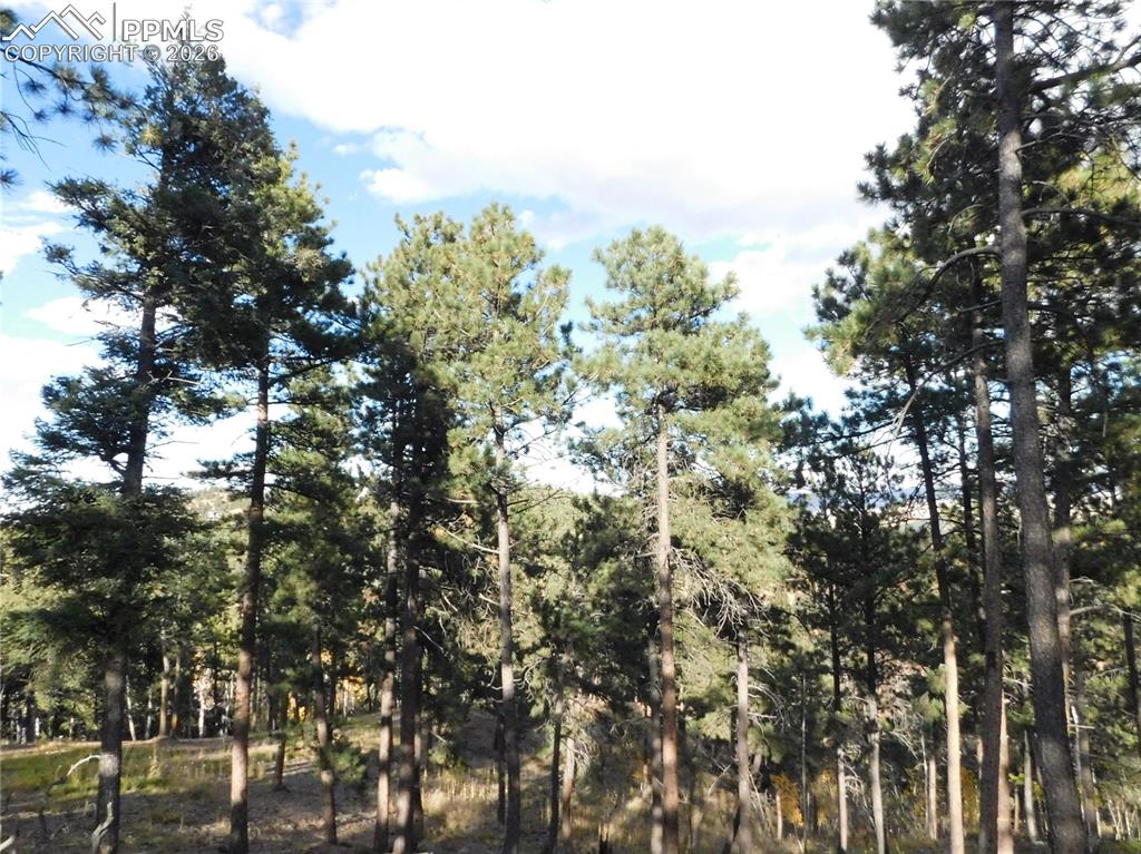 Image 4 of 45: No Description Available