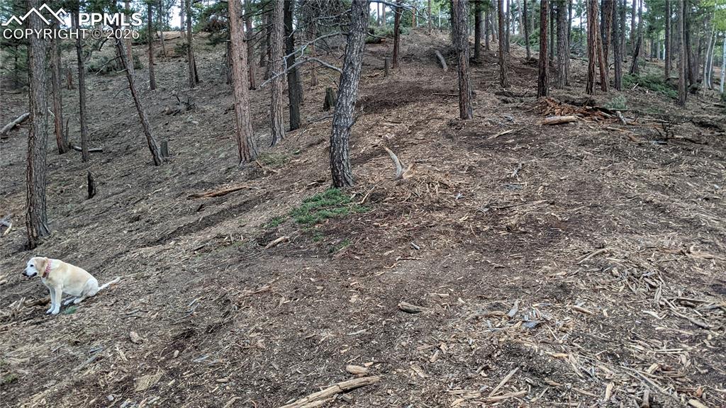 Image 40 of 45: No Description Available