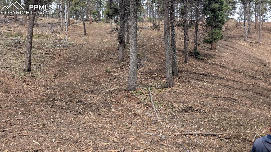 Image 44 of 45: No Description Available