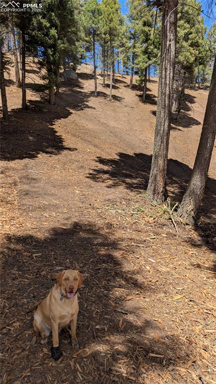 Image 45 of 45: No Description Available