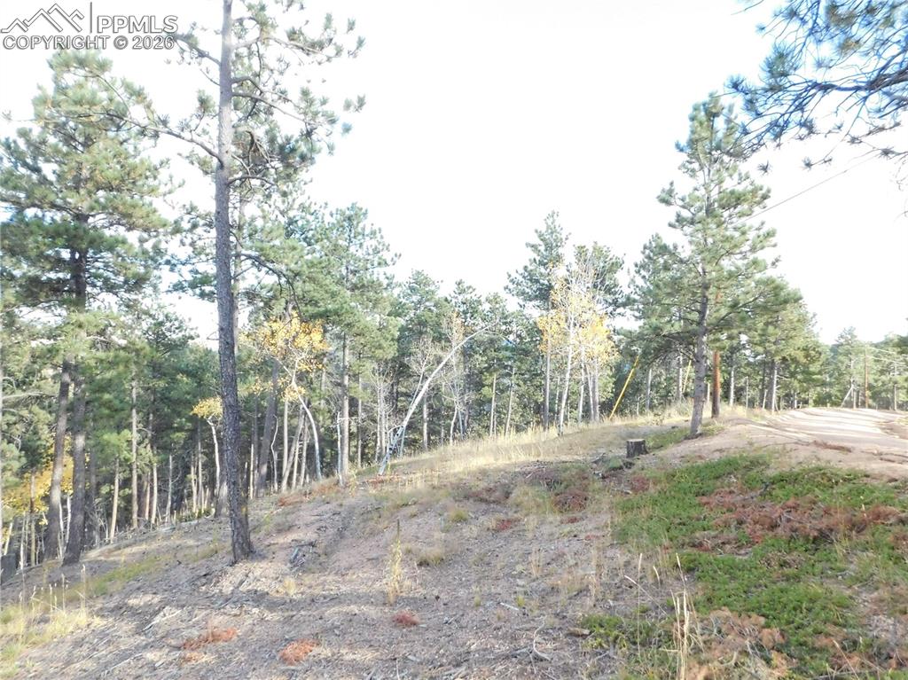 Image 6 of 45: No Description Available