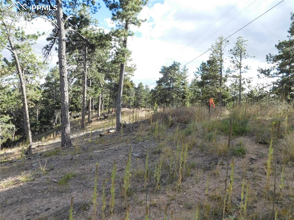 Image 7 of 45: No Description Available