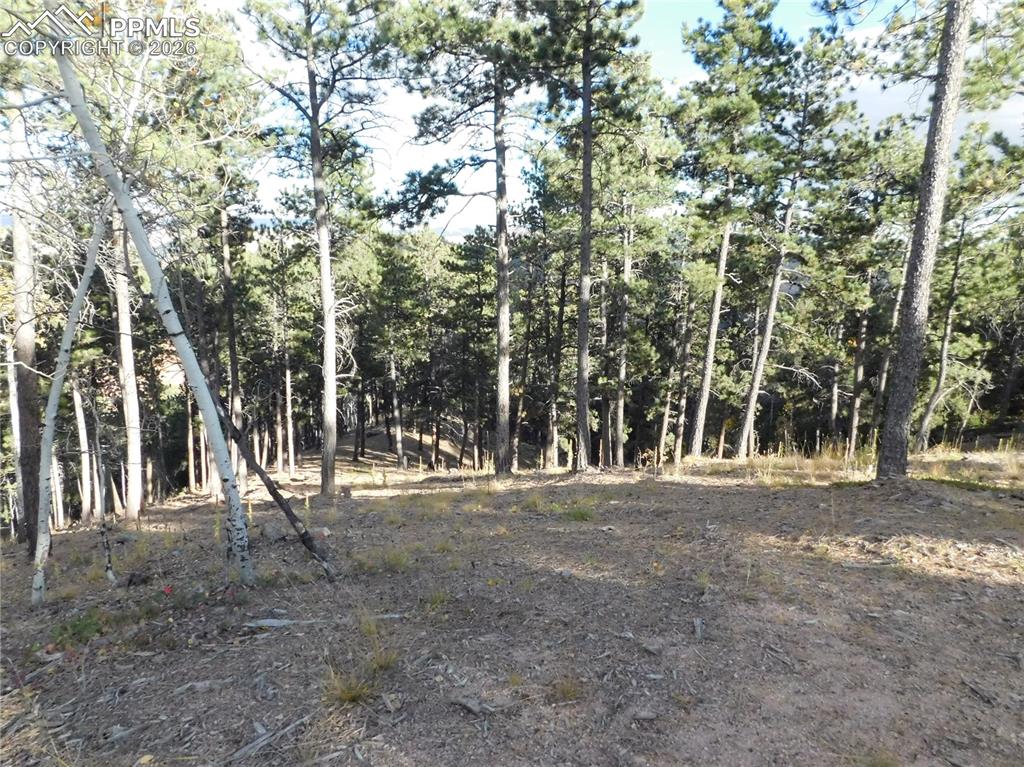 Image 8 of 45: No Description Available