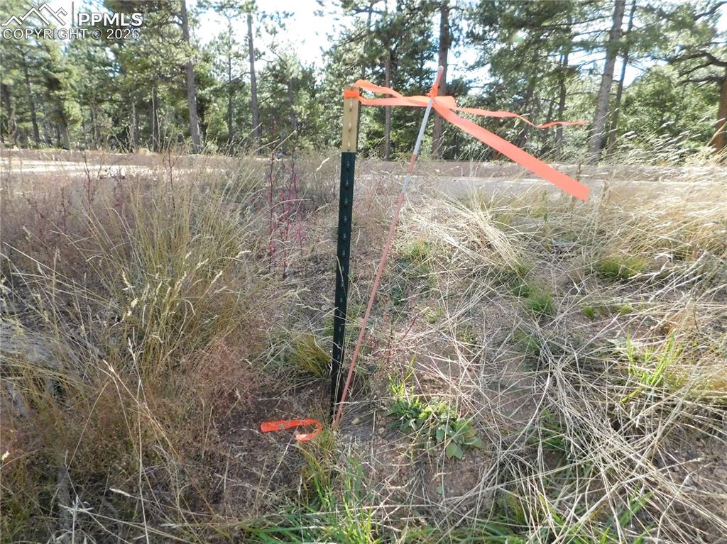 Image 9 of 45: No Description Available