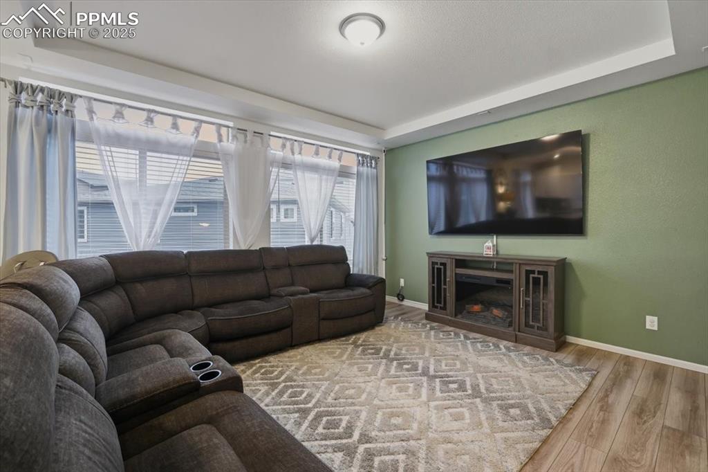 Image 26 of 35: Living room with tray ceiling.