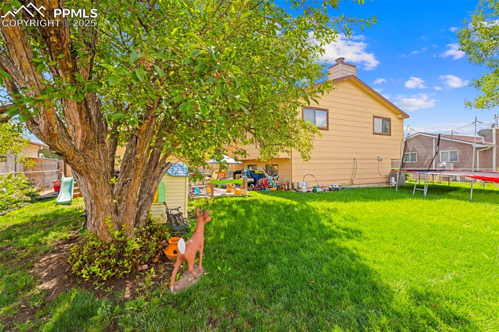 Image 33 of 40: Yard