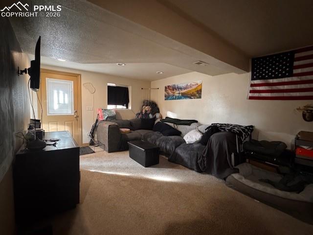 Image 10 of 17: Lower Level 