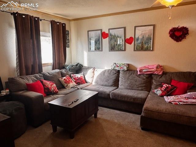 Image 6 of 17: Living Room