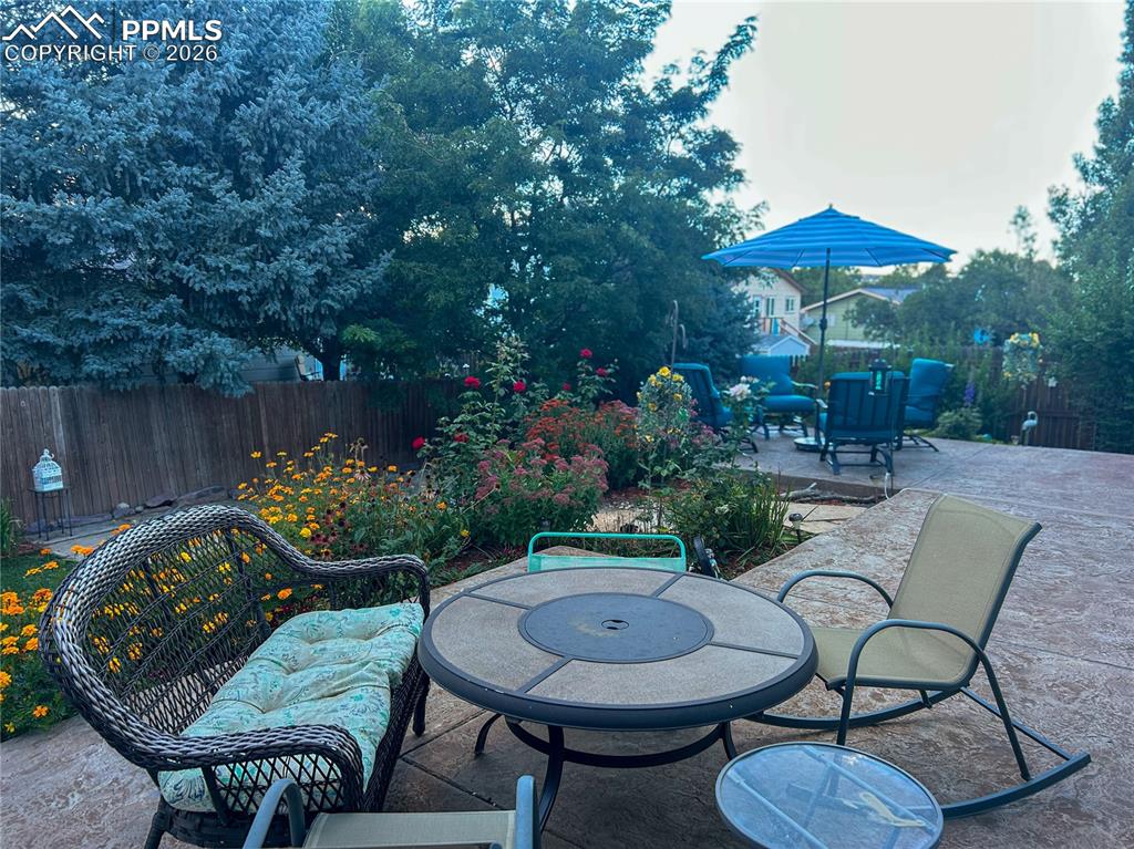 Image 47 of 48: Backyard Summer 2025 To Show Plants