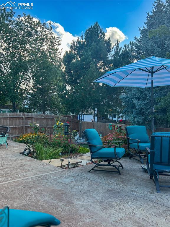 Image 48 of 48: Backyard Summer 2025 To Show Plants