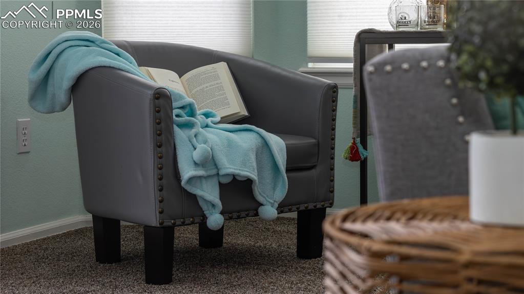 Image 8 of 48: Second Bay Window in Living Room by Back Door