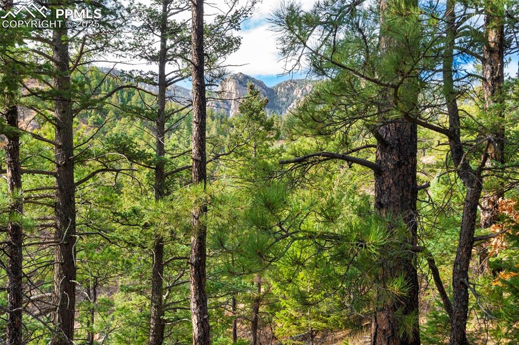 Image 10 of 16: Other