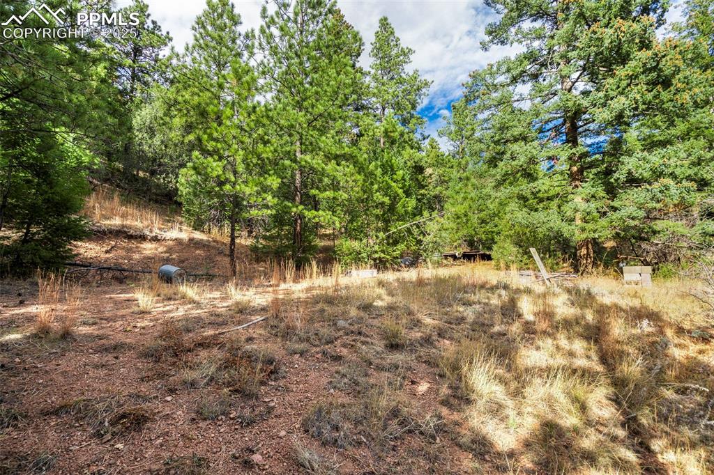 Image 11 of 16: Other