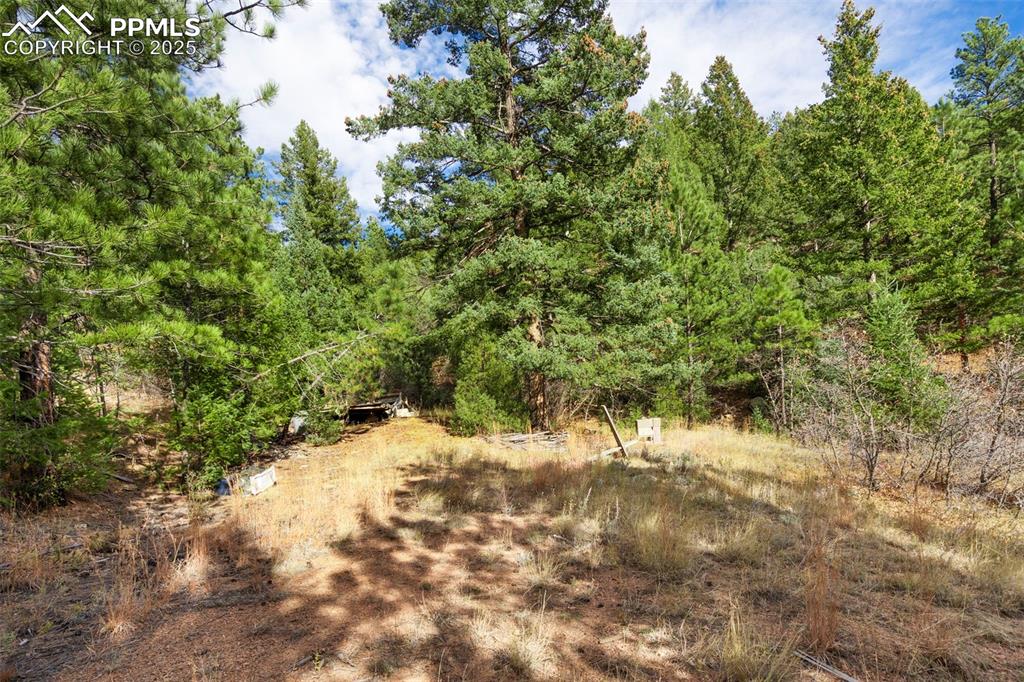 Image 12 of 16: Other