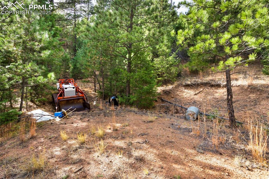 Image 13 of 16: Yard