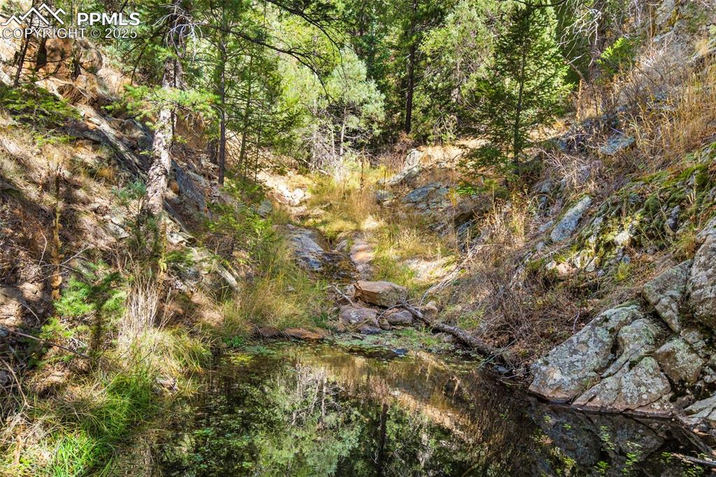 Image 7 of 16: Other