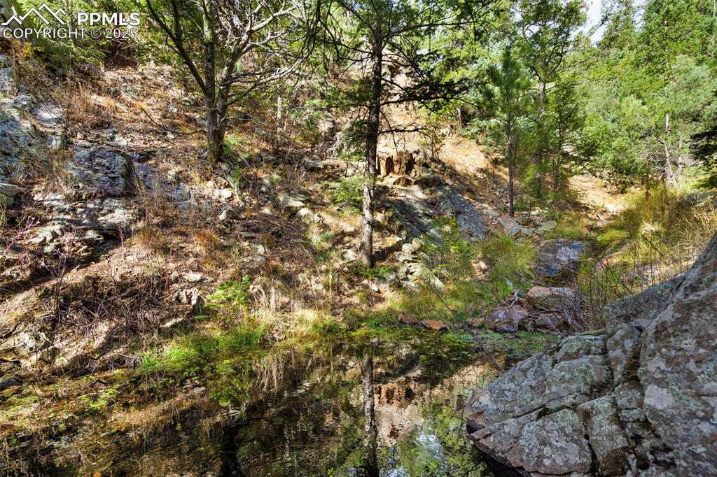 Image 8 of 16: Other