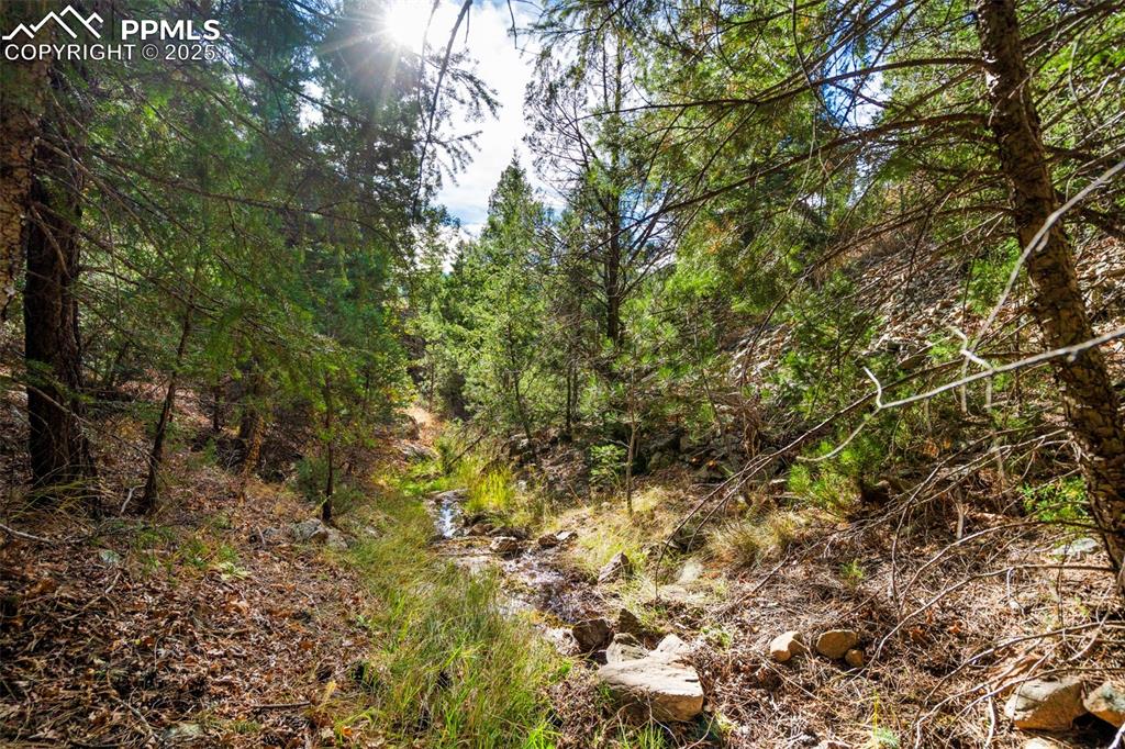 Image 9 of 16: Other