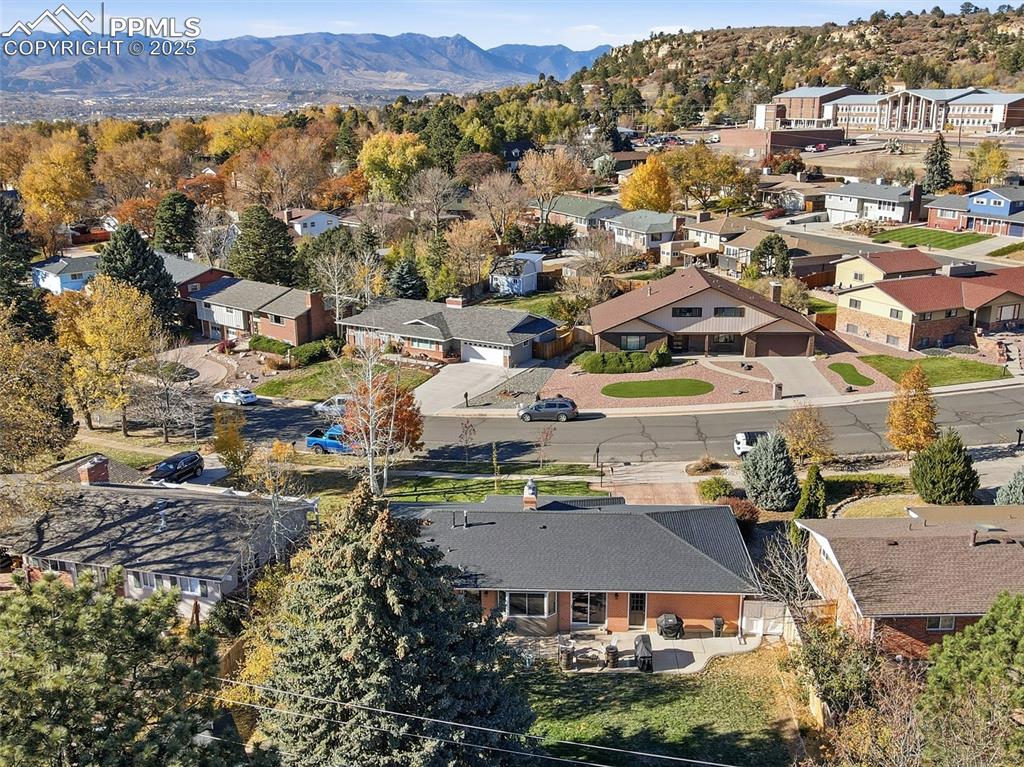 Image 41 of 47: Large mature trees in the back yard