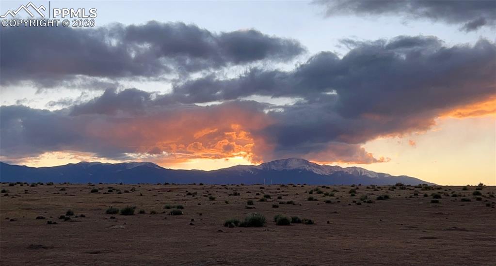 Image 48 of 50: View