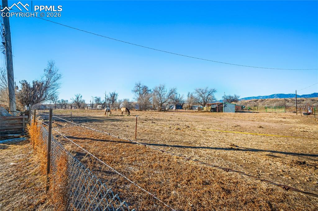 Image 31 of 49: Yard