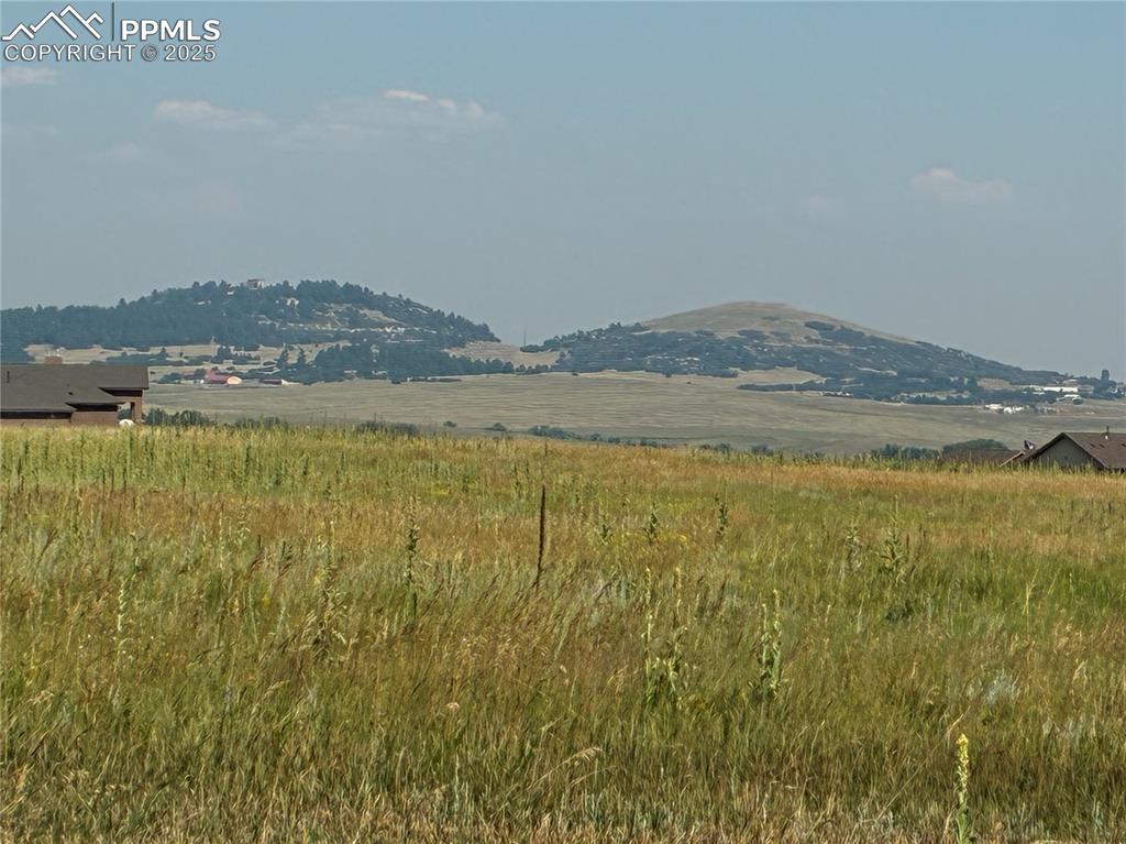 Caption: View