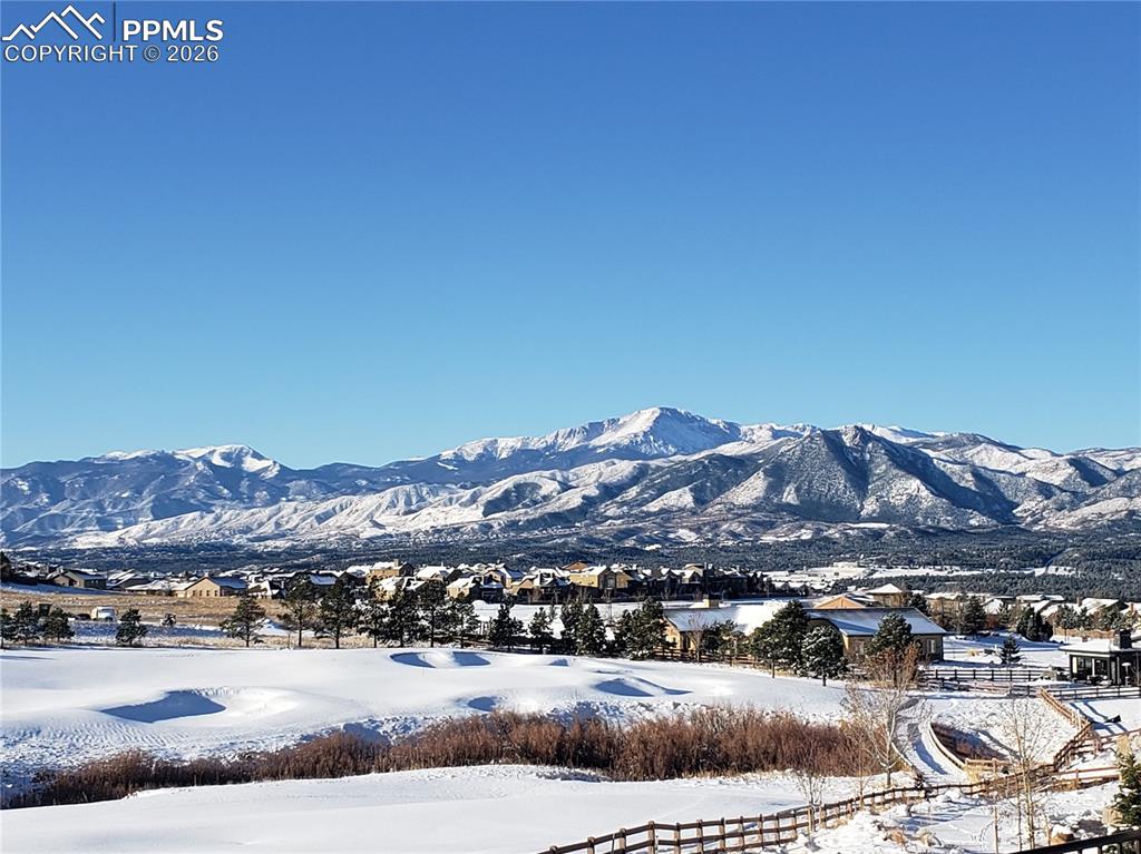 Image 50 of 50: View