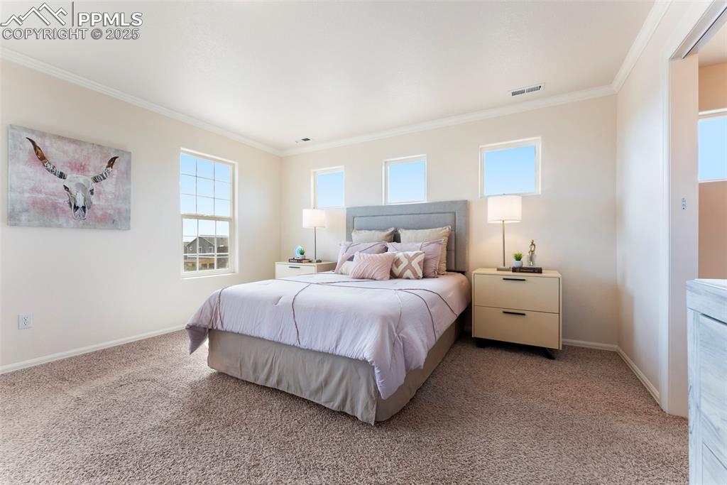 Image 16 of 50: Bedroom featuring crown molding and light colored carpet