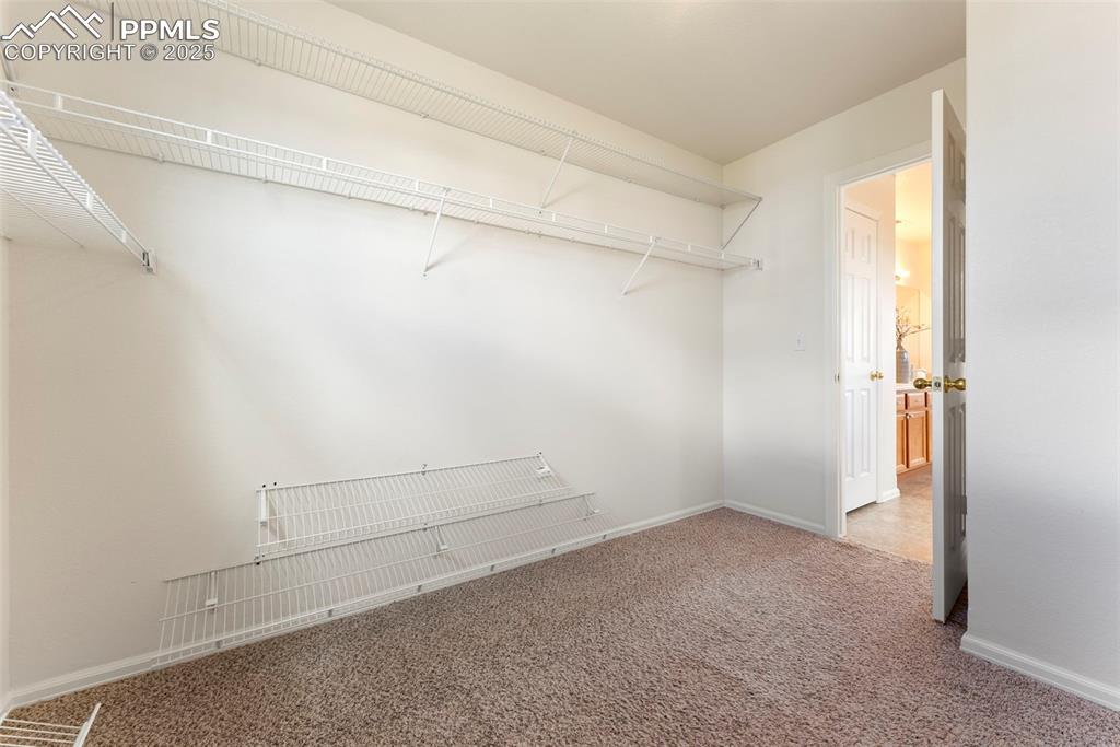 Image 20 of 50: Walk in closet with carpet floors