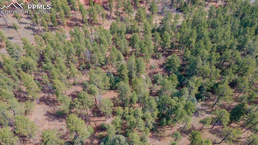 Image 12 of 22: Aerial View