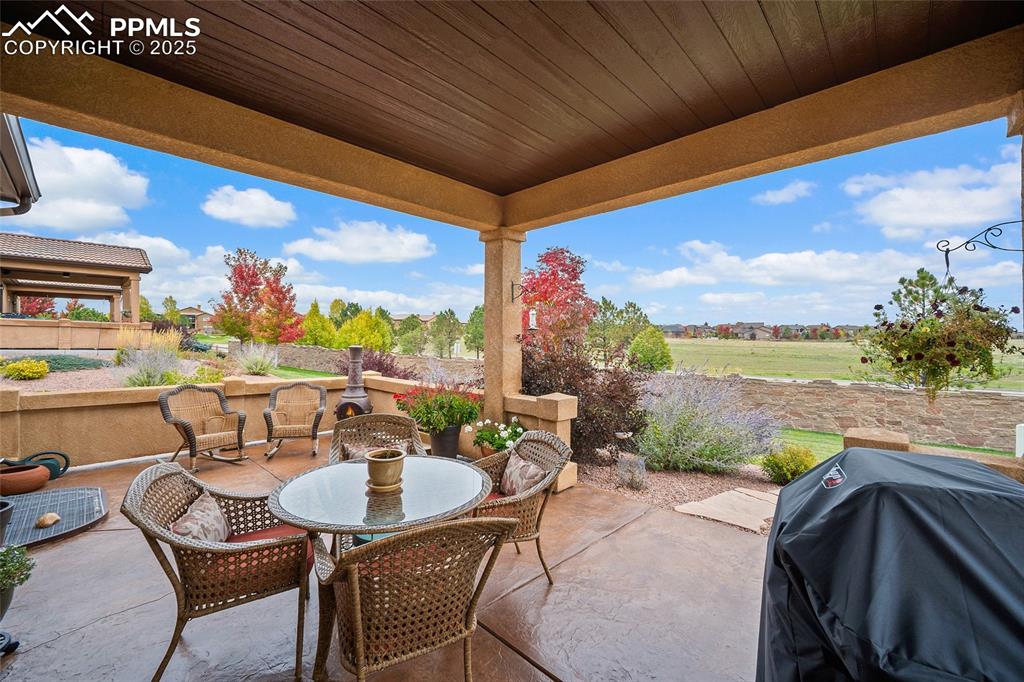 Image 36 of 39: View of patio with grilling area