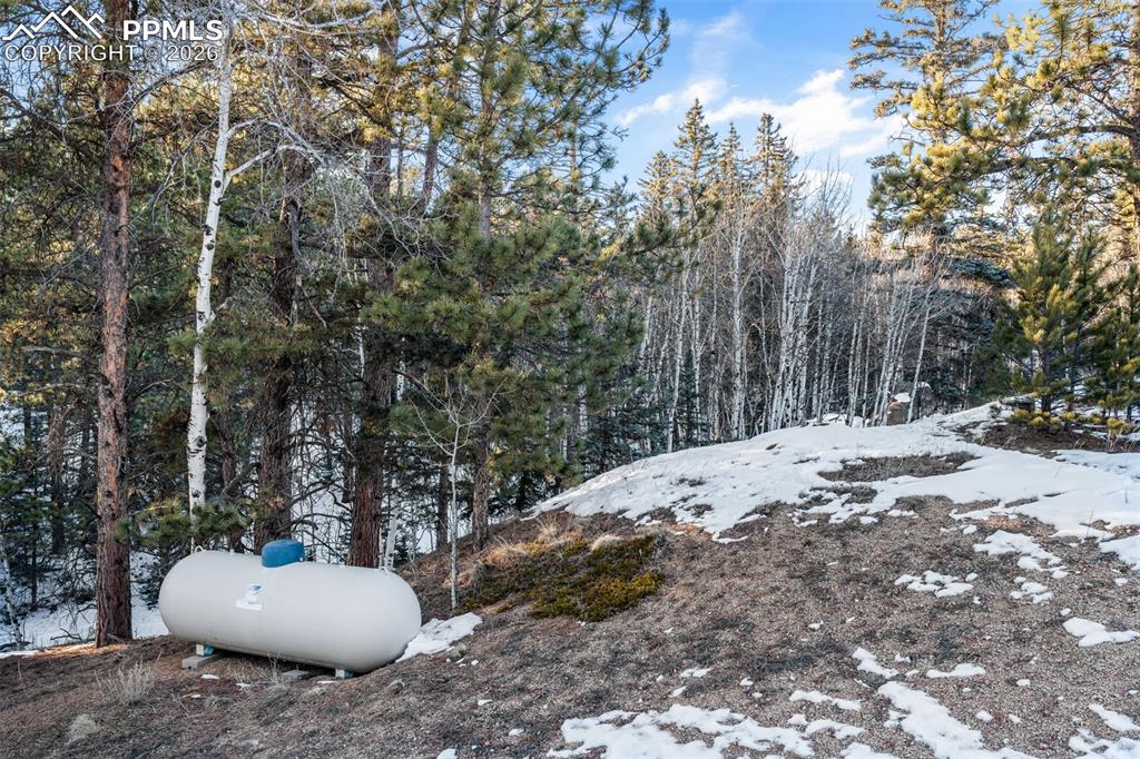 Image 45 of 50: Yard