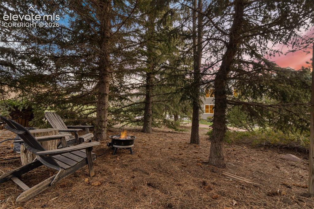 Image 36 of 41: Private and relaxing mini-forest with andirondacks and a propane fire pit.