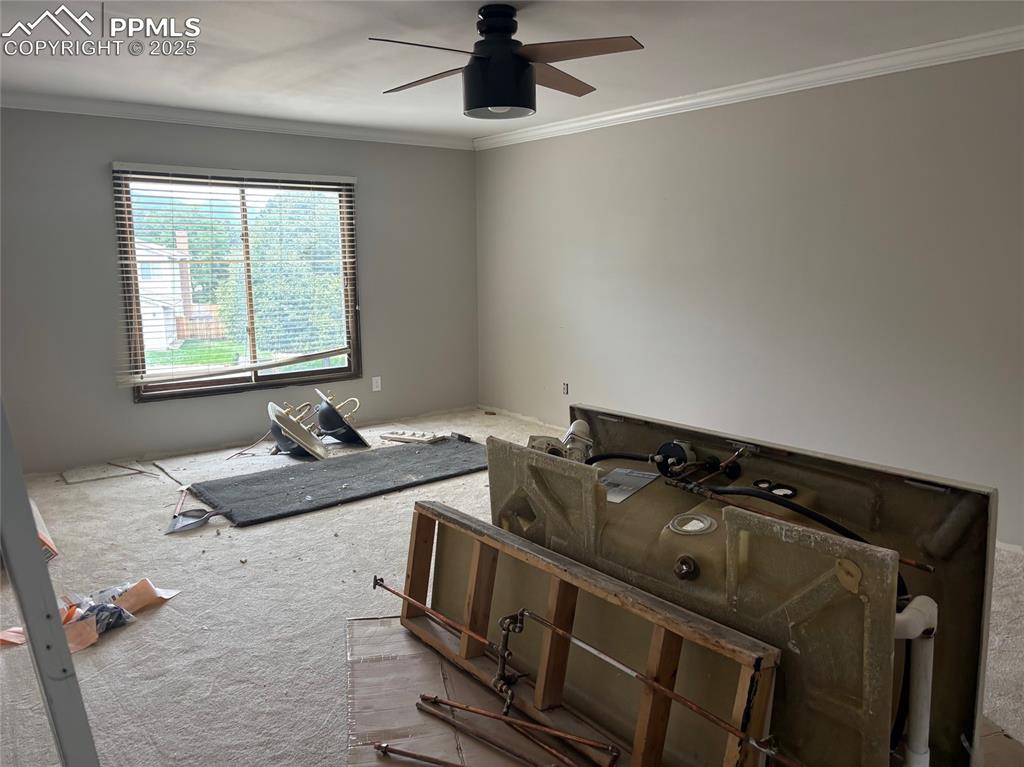 Image 14 of 21: Master Bedroom