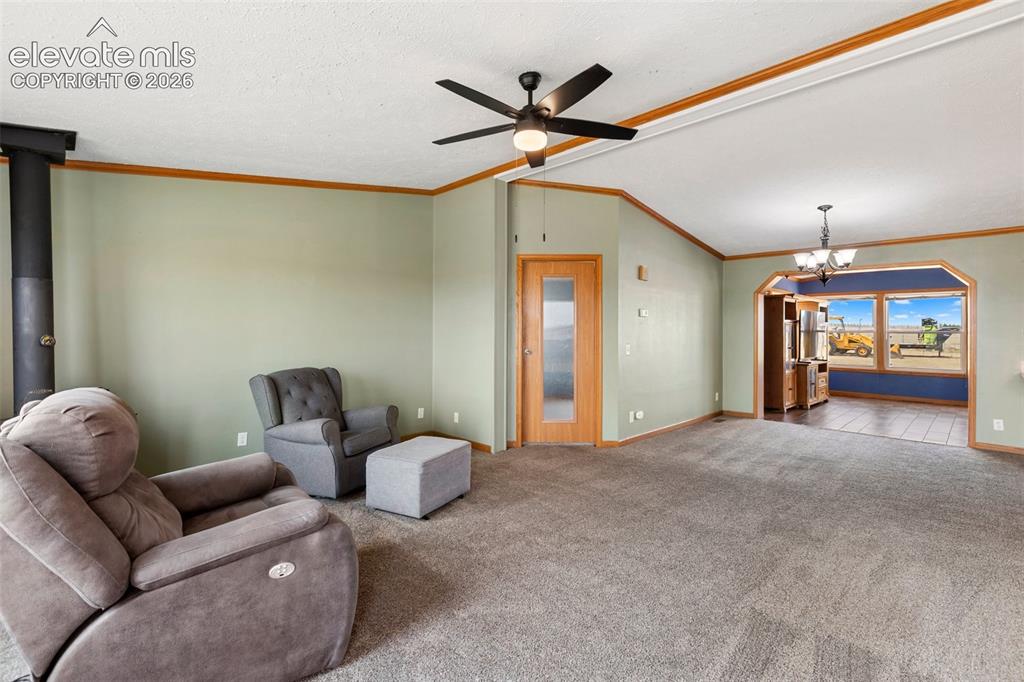 Image 14 of 45: Spacious living area featuring neutral carpeting, light green walls, and a