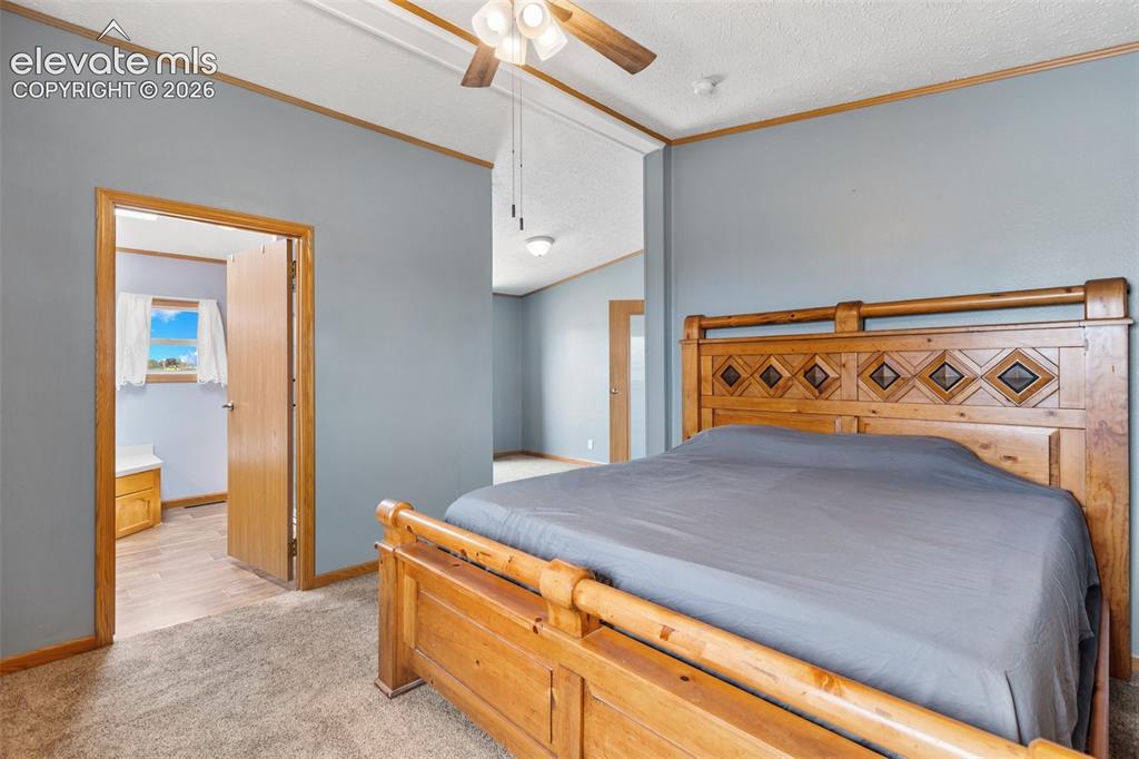 Image 28 of 45: Carpeted interior space featuring light blue wall paint and wood trim