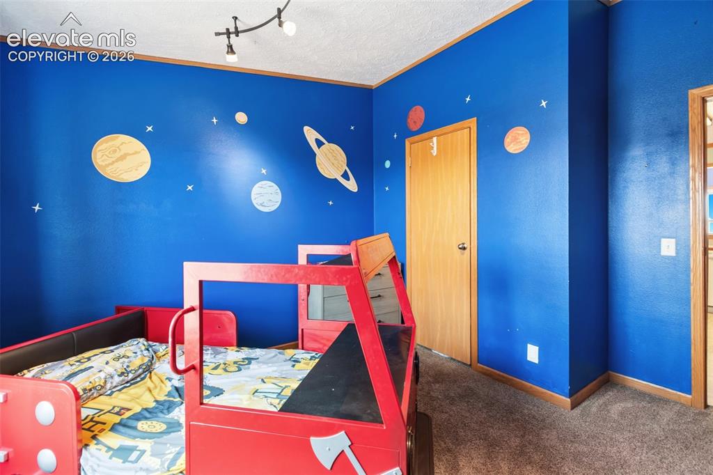 Image 40 of 45: 3rd bdrm carpeted room with blue walls, a window featuring an expansive sky