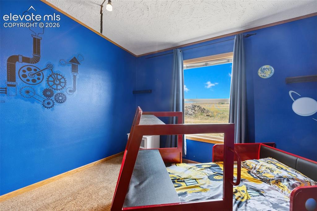 Image 41 of 45: 3rd bdrm carpeted room with blue walls, a window featuring an expansive sky
