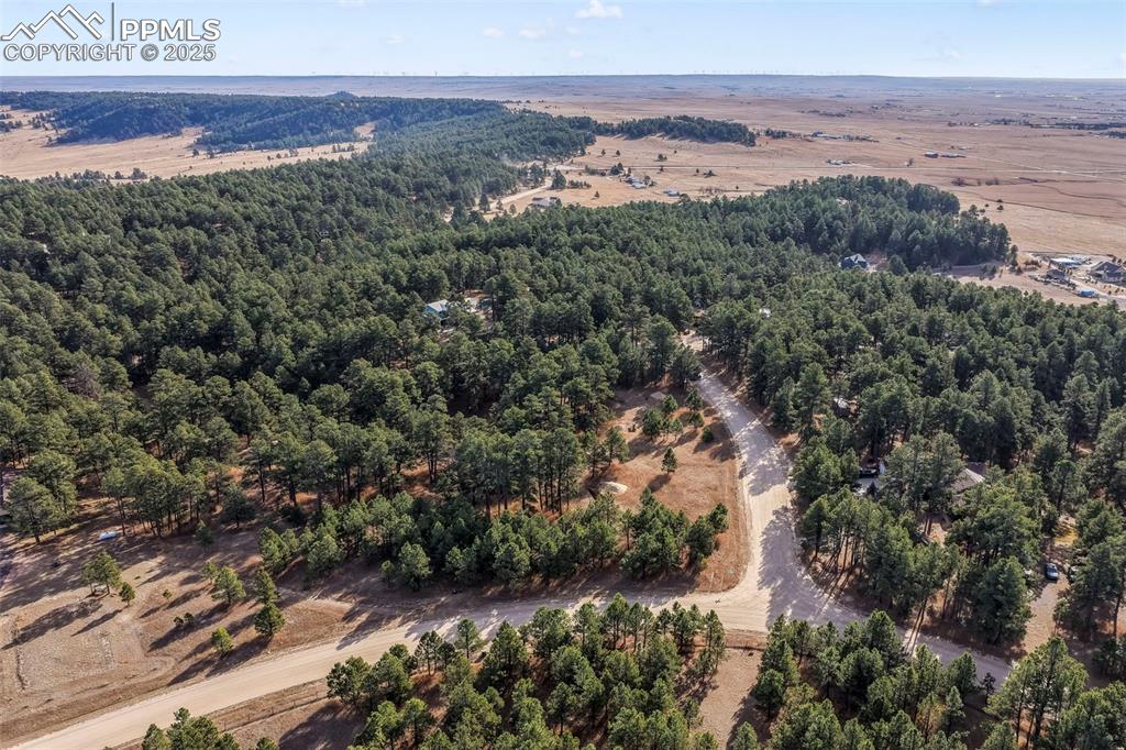 Image 12 of 45: Bird