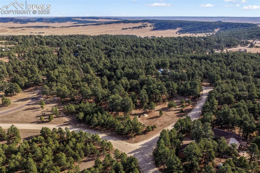 Image 13 of 45: Bird