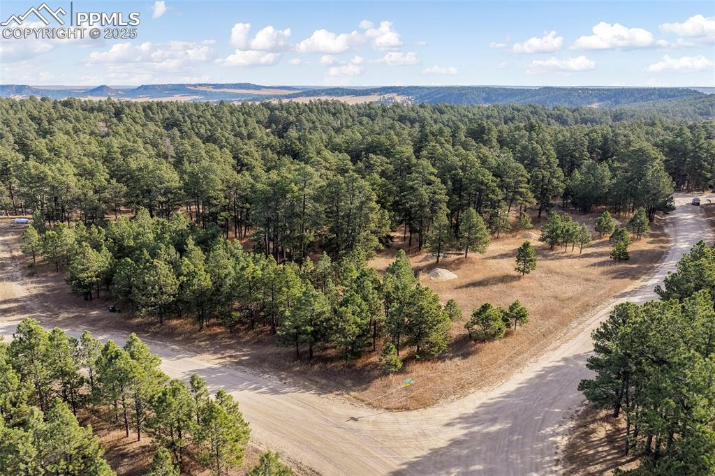 Image 15 of 45: View of rural area featuring a forest