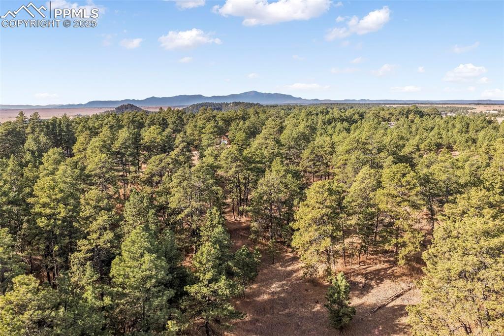 Image 18 of 45: Mountain view featuring a forest