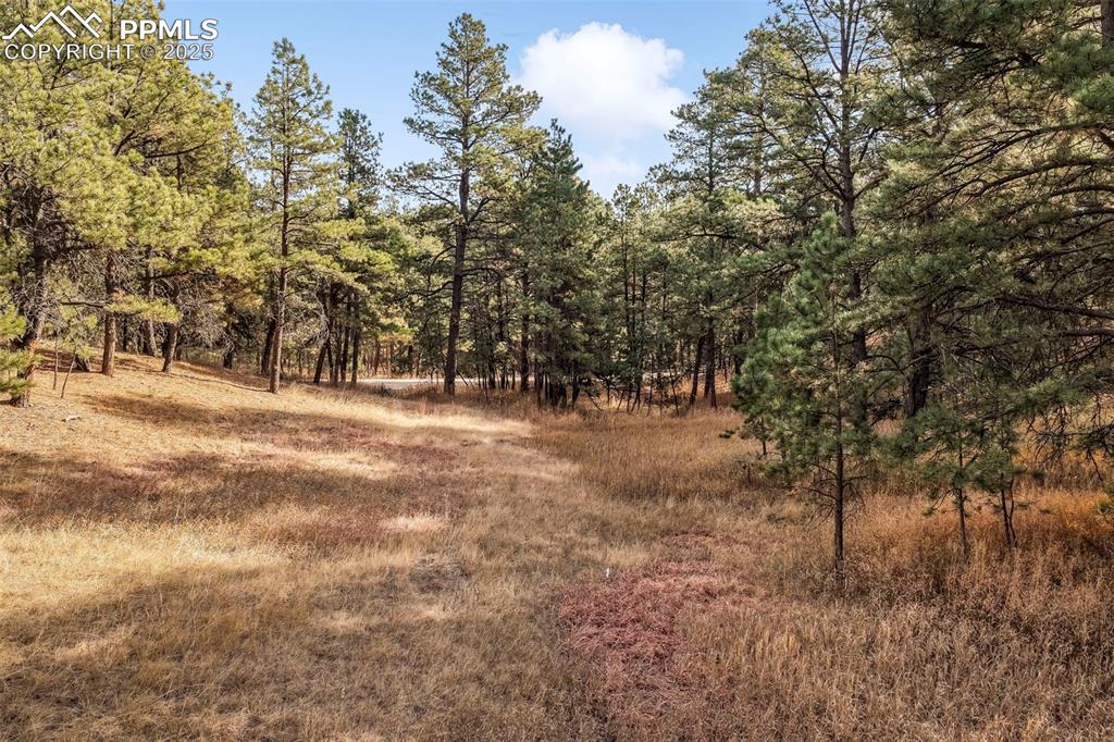 Image 20 of 45: View of nature