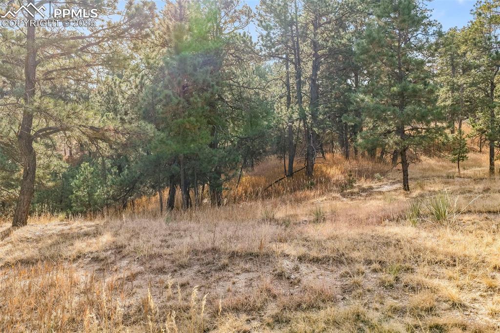 Image 27 of 45: View of nature