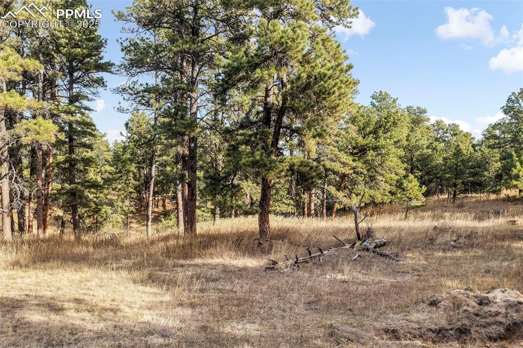 Image 34 of 45: View of nature