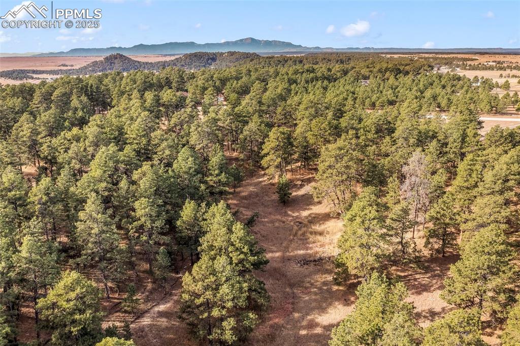 Image 39 of 45: View of mountain background