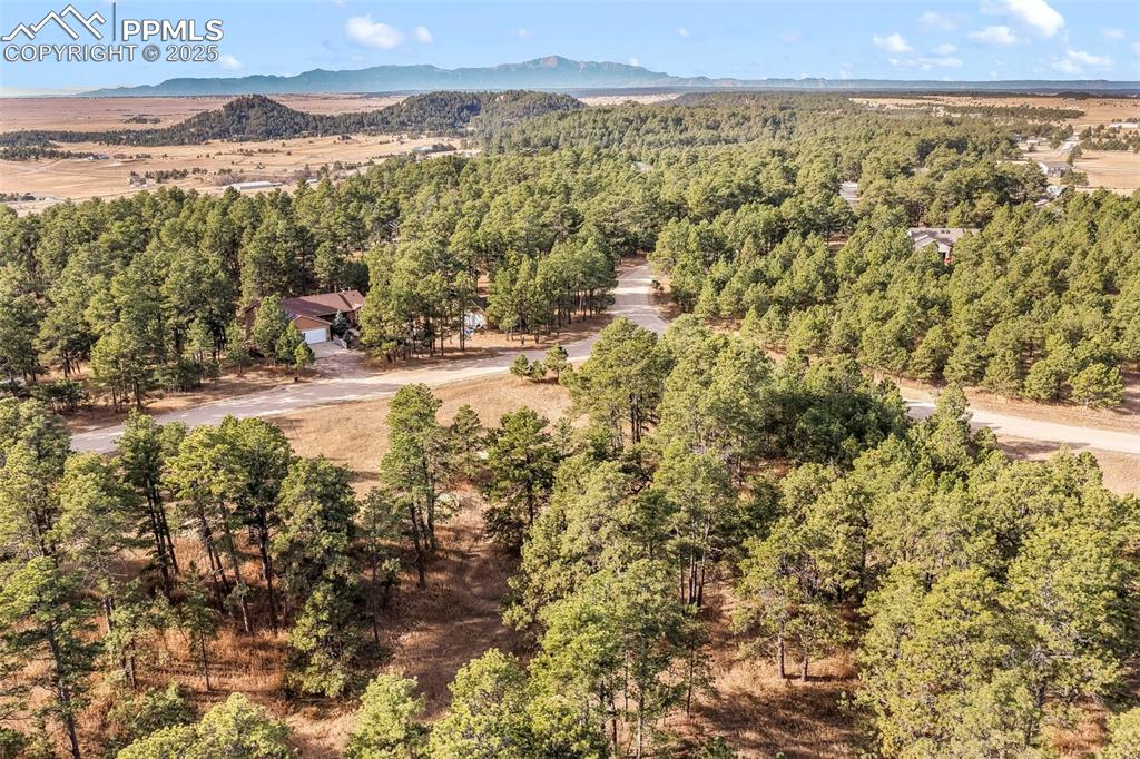 Image 44 of 45: Aerial view of a heavily wooded area and a mountain backdrop